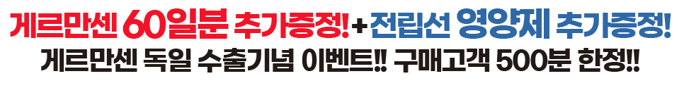 게르만센 상담신청