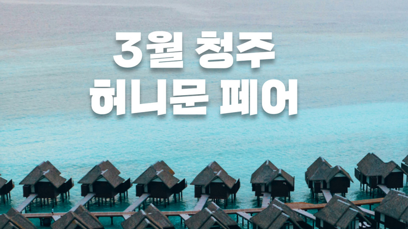 월컨투 청주 허니문페어