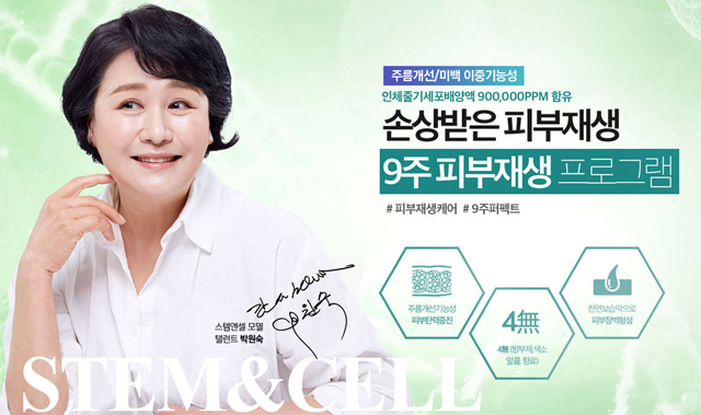 스템앤셀