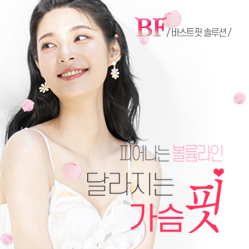 바스트핏솔루션